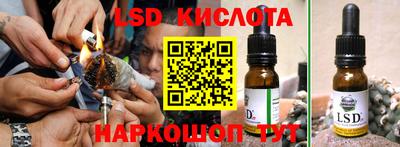 гидра Краснодар