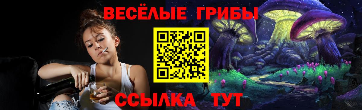 Выборг  хочу наркоту  Вход с VPN  Псилоцибиновые грибы Psilocybe 